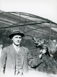 An Eagle Owl being held by J. Bailey, Overseer of Birds at London Zoo for thirty years. June 1920